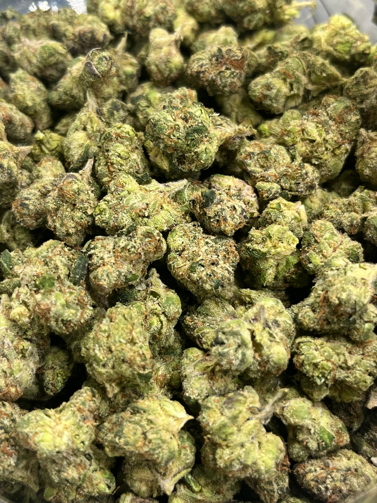 Premium Popcorn